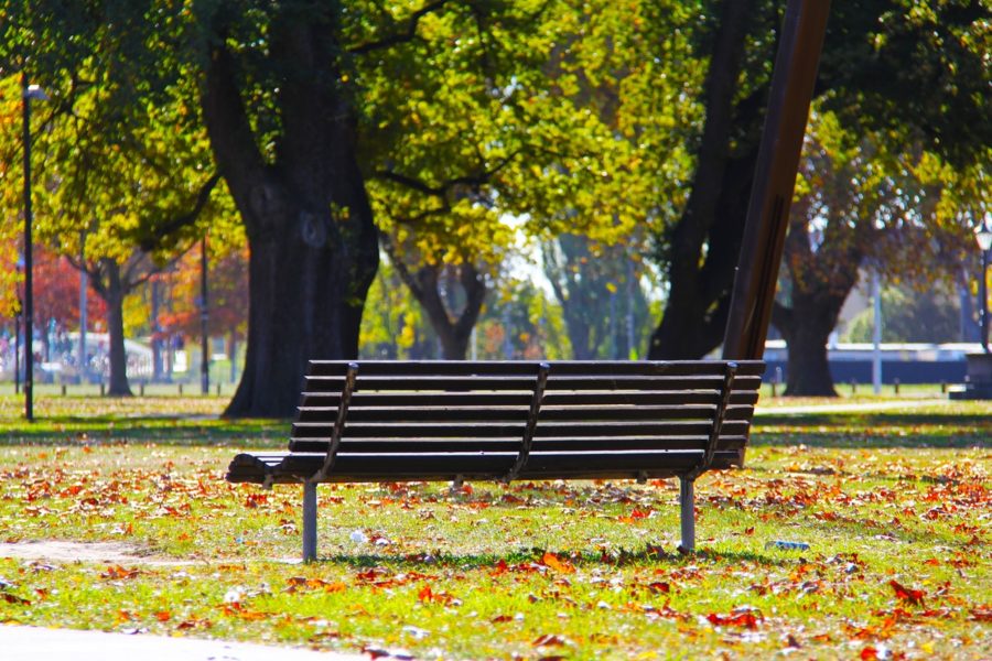 Salzburgs Wohlfühloasen im Frühling Parkbank in einem herbstlichen Park