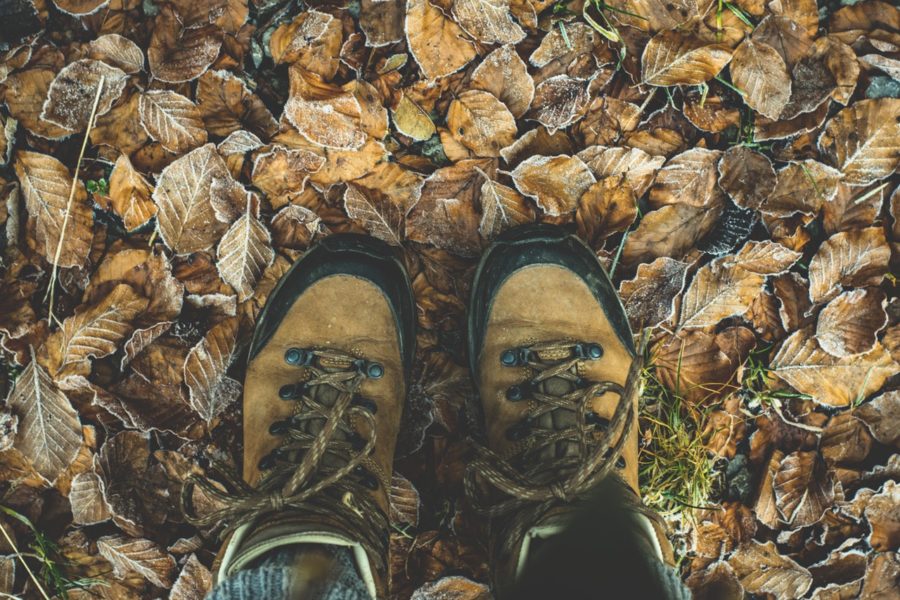 Wandern: Einmal rund um den Fuschlsee Wanderschuhe in Herbstlaub