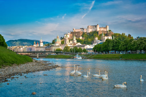 Blick auf die Salzach mit Schwaenen und die Festung Hohensalzburg