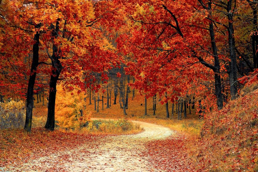 Herbstliche Event-Tipps für Salzburg