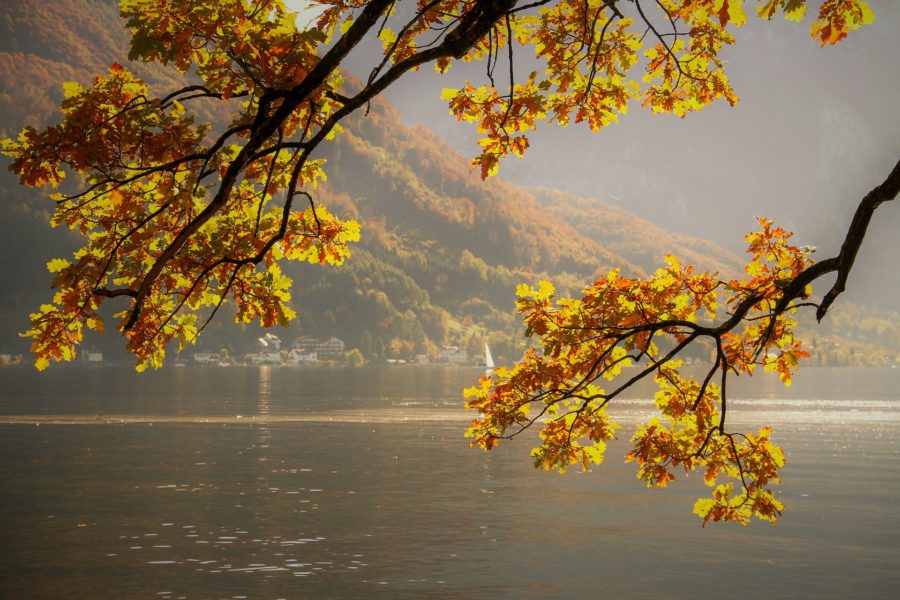 Herbst in Salzburgs Natur. 