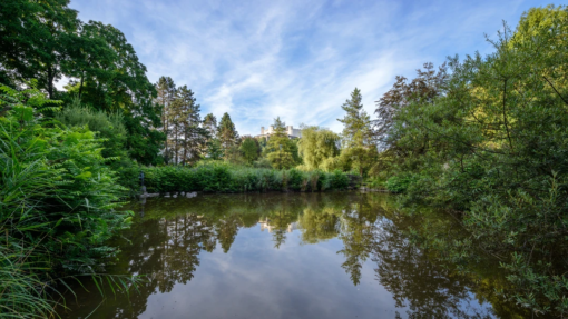 Hans-Donnenberg-Park Salzburg 