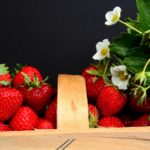 Frische erdbeeren